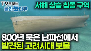 태안 앞바다에 침몰된 고려시대 선박에서 나온 억대 감정가 유물들｜바닷속 보물 창고라고 불리는 태안 마도해역｜극한직업｜골라듄다큐 [upl. by Selrahc]