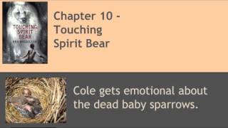 Touching Spirit Bear  Chapter 10 Read Aloud [upl. by Baldridge]