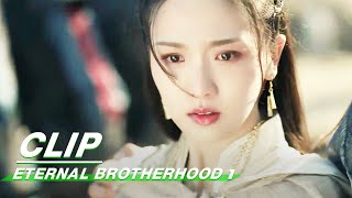 The Princess of the Northern Clan Hides in the Trophy  Eternal Brotherhood 1 EP1  紫川·光明三杰  iQIYI [upl. by Alludba97]