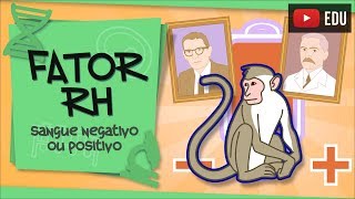 Fator Rh  por que o sangue é positivo ou negativo [upl. by Sugden]