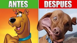 ASÍ QUEDO SCOOBY DOO DESPUÉS DE TANTO PA PA [upl. by Aspa]