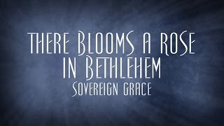 There Blooms a Rose in Bethlehem  Sovereign Grace [upl. by Lowell]