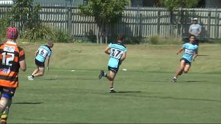 Harold Matthews Round Eight  Cronulla Sharks v Balmain Tigers [upl. by Ailemac]