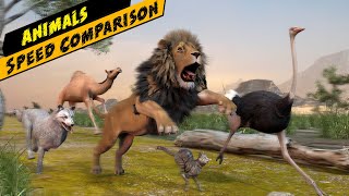 Most fastest animal on land  Animal speed comparison  animal race [upl. by Ajiak143]