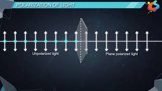 16  Class 12  Physics  Wave Optics  Polarisation [upl. by Macey]