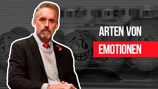 Arten von Emotionen [upl. by Hilar82]