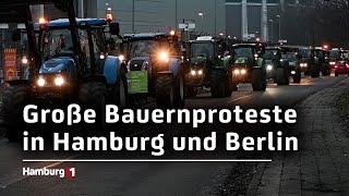 Zahlreiche Traktoren in Hamburg und Berlin Landwirte demonstrieren gegen Streichungen [upl. by Cosimo364]