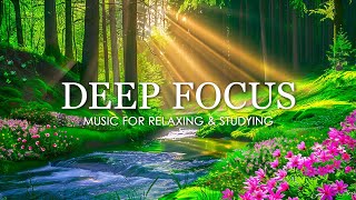 Deep Focus Music To Improve Concentration  12 Hours of Ambient Study Music to Concentrate 766 [upl. by Ynaiffit43]