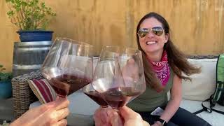 A Day in the life of our Vanlife Summer  Episode 5  Wine Tasting in Napa Valley [upl. by Kutzenco]