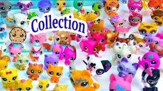 Mega Littlest Pet Shop Collection Tour All Cats Dogs Fairy More Animals LPS Toys Videos Cookieswirlc [upl. by Aitnahc]