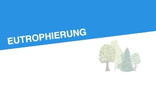 EUTROPHIERUNG  Biologie  Ökologie [upl. by Acenes]