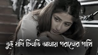 তুই যদি চিনতি আমায় পরানের পাখি  Tui Jodi Chinti Amay Poraner Pakhi  Slowed Reverb Bangla New Song [upl. by Ivgnout]