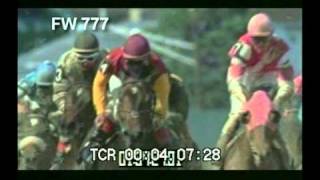 Horse Racing  Derby  Racing Horses  Best Shot Footage  Stock Footage [upl. by Mcclure]