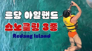 SUB🇲🇾 파라다이스 르당 아일랜드 스노클링 3종 물고기부터 거북이까지  Redang Island Malaysia 2 [upl. by Modnarb999]