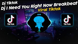 DJ I NEED YOU RIGHT NOW BREAKBEAT VIRAL TIK TOK TERBARU 2024 [upl. by Stannfield]