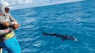 Guerreiros Do Mar O SONHO DE QUALQUER PESCADOR FISGAR PEIXE TÃO GRANDE QUE IMPRESSIONOU A TODOS [upl. by Aynom]