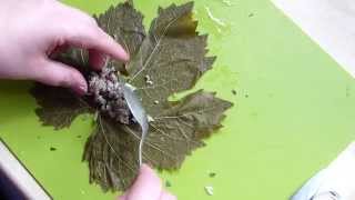 How to make KoupepiaDolmadesStuffed Vine Leaves [upl. by Halland]