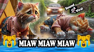 Miaw miaw miaw miaw Song sad story of a cat without a home FULL😭 cat aicat catlover cats [upl. by Irafat389]