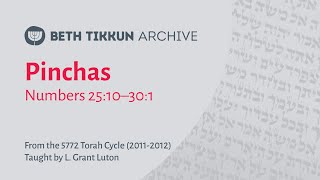 quotPinchasquot  Torah Cycle 5772 20112012 [upl. by Formica]