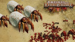 BATTLE ON THE BEACHES  Empires of the Undergrowth BETA Gameplay  Ep4 [upl. by Sara]