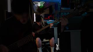 LANDMVRKS  Lost In A Wave  Bass Cover  Full Cover on YT Channel [upl. by Dalis79]