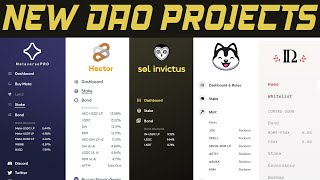 New DAO Projects [upl. by Llenahc]