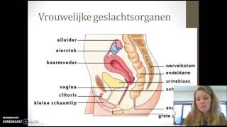 44 Menstruatiecyclus [upl. by Cristiona]