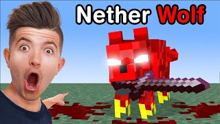 Myths That will Ruin Your TRUST in Minecraft [upl. by Glen]