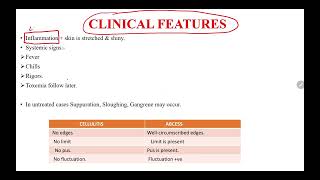 CELLULITIS  A QUICK REVIEW  cellulitis cell biology science education medicalstudent [upl. by Wendie]