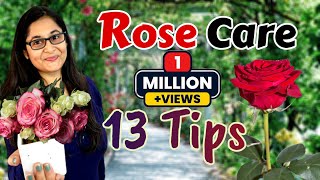 🔴🌹ROSE PLANT CARE GROWING TIPS SAVE ROSE PLANT  GULAB KI CARE  गुलाब की देखभाल rose roseplant [upl. by Meyer56]