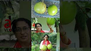 കമണ്ഡലു  Calabash Tree  Ak Vlogz [upl. by Mignonne]