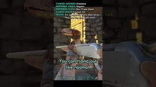 How to Tame a Terror Bird Fast Ark Beginner Guide shorts [upl. by Ahsiniuq]