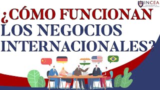 ¿Cómo Funcionan Los Negocios Internacionales [upl. by Anairotciv831]