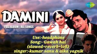 Gawah hai chand taare  slowedreverblofi  Damini  full Songs  Kumar Sanu  Alka yagnik [upl. by Atteuqihc]