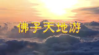 《天地游第三册（未成册）》【20190403；09】护法菩萨、观世音菩萨和师父法身开示；【冥界听审】鳖灵体讲述前世修道教神通，帮人算命改运、动人因果，死后下无间地狱再投鳖 [upl. by Enyak]