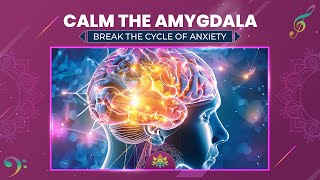 Calm The Amygdala Heal Brain  Break The Cycle Of Anxiety Fear And Panic Stress  Delta Waves [upl. by Odelle]