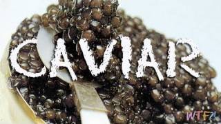 What Is and How to Eat Caviar Caviar 101 [upl. by Mcgruter319]