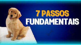 COMO EDUCAR UM FILHOTE DE CACHORRO PASSO A PASSO COMPLETO [upl. by Greg]