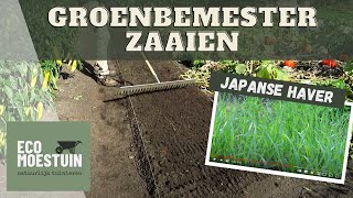 Groenbemester zaaien [upl. by Ialda]