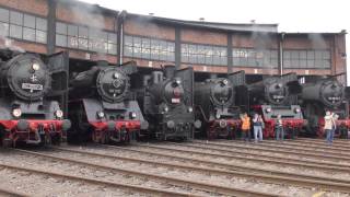 9 Dresdner Dampfloktreffen  Main Line Steam Trains HD [upl. by Larimor128]