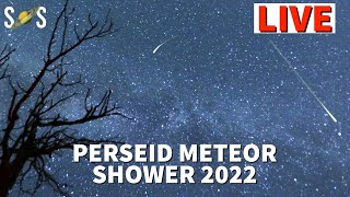 Perseid Meteor Shower 2022 Live [upl. by Alleinnad537]