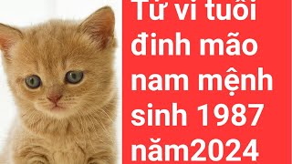 tử vi tuổi đinh mão nam mạng sinh 1987 năm 2024 [upl. by Gio361]