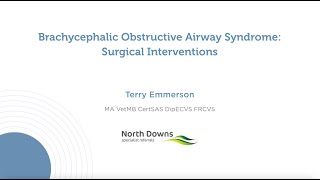 Brachycephalic Obstructive Airway Syndrome Surgical Interventions [upl. by Vincenz]