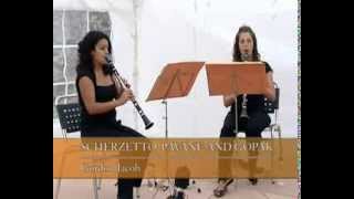 CONCIERTO DEL quotCUARTETO DE CLARINETES ASTURquot [upl. by Hilliard721]