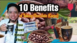 10 REASONS WHY WE NEED TO TAKE THE RAW DARK CHOCOLATE  Cacao Health Benefits [upl. by Nylrahs883]