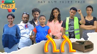 ሊሊ  ክፍል 7  አዲስ የአማርኛ ተከታታይ ድራማ  2024 [upl. by Epoh]