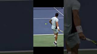 Top5 Insane Tennis Shot 볼수록 소름돋는 샷 Top5 federer monfils alcaraz coevas dimitrov [upl. by Cesaro]