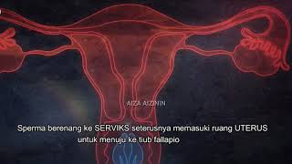 BIOLOGI T4 PROSES PERSENYAWAAN amp KEHAMILAN PART 1  ANIMASI PERSENYAWAAN ZIGOT  EMBRIO OOGENESIS [upl. by Ahsoik]