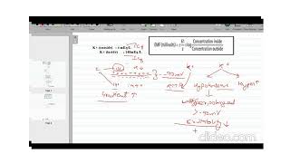 Hyperkalemia vs Hypokalemia I Easy explanation [upl. by Okomom]