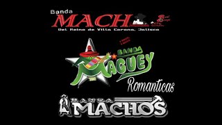 Banda Machos vs Banda Maguey Mix Romanticas [upl. by Heim596]